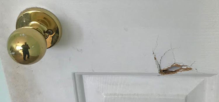 interior door hole repair Quartz Hill